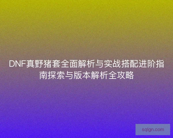 DNF真野猪套全面解析与实战搭配进阶指南探索与版本解析全攻略