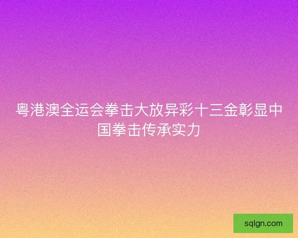 粤港澳全运会拳击大放异彩十三金彰显中国拳击传承实力