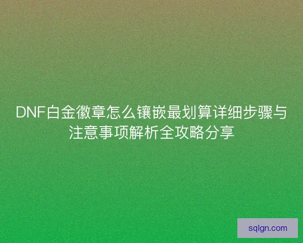 DNF白金徽章怎么镶嵌最划算详细步骤与注意事项解析全攻略分享